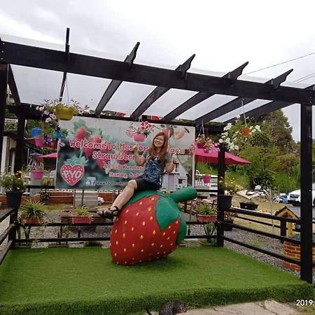 Berries Residence Kampong Kundassan Экстерьер фото